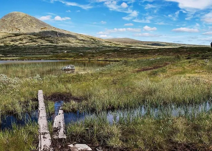 Fiskebu At Flaksjoen Casa de Férias Venabygd