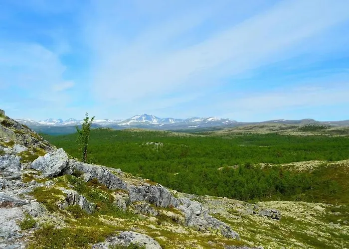 Casa de Férias Fiskebu At Flaksjoen Venabygd
