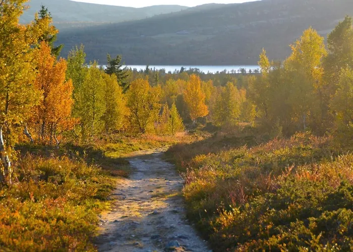 Casa de Férias Fiskebu At Flaksjoen Venabygd