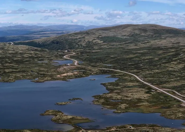 Fiskebu At Flaksjoen Semesterbostad Venabygd