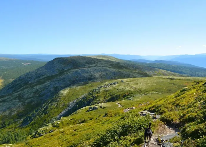 Fiskebu At Flaksjoen *