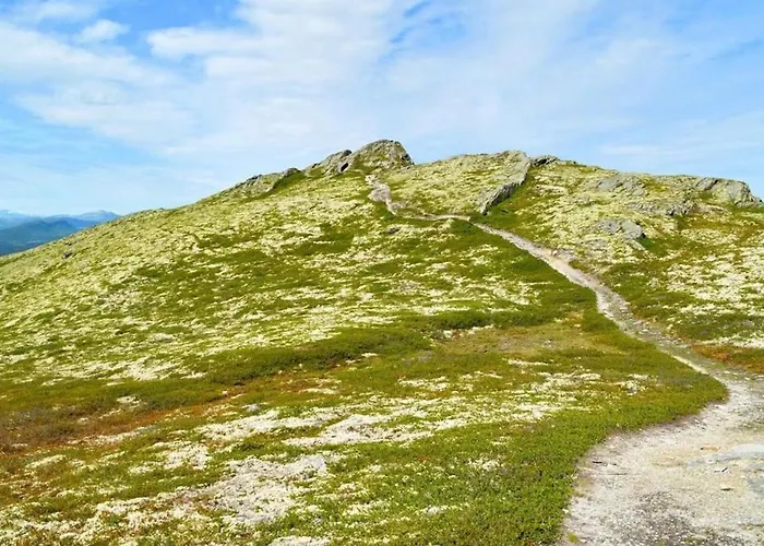 Semesterbostad Fiskebu At Flaksjoen Venabygd